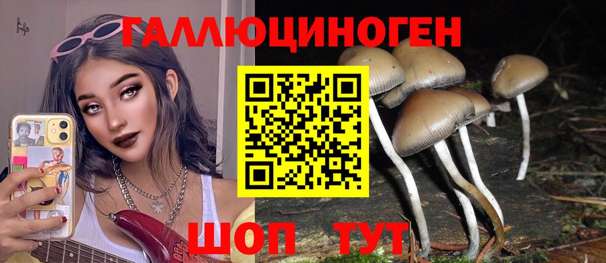Братск  Галлюциногенные грибы Psilocybe  Вход с VPN 